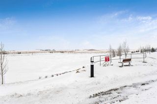Photo 44: 46 Lucas Cove NW in Calgary: Livingston Detached for sale : MLS®# A1169846