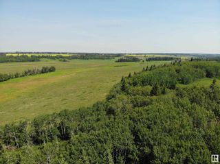 Photo 7: Range Road 201 Township 585A: Rural Thorhild County Land Commercial for sale : MLS®# E4350829