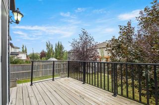 Photo 39: 258 Canals Circle SW: Airdrie Detached for sale : MLS®# A2074536