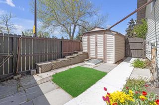 Photo 33: 103 Silvergrove Place NW in Calgary: Silver Springs Detached for sale : MLS®# A2124672