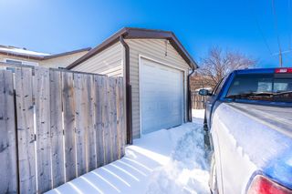Photo 5: 169 CASTLEBROOK Way NE in Calgary: Castleridge Semi Detached (Half Duplex) for sale : MLS®# A2032790