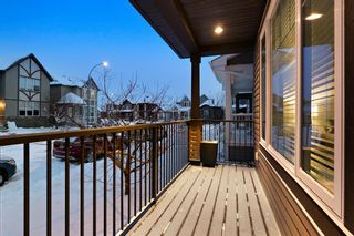 Photo 38: 242 Cranford Common SE in Calgary: Cranston Detached for sale : MLS®# A2026305