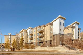 Photo 25: 106 88 Arbour Lake Road NW in Calgary: Arbour Lake Apartment for sale : MLS®# A2113024