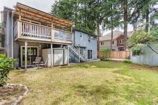 Photo 14: 3549 MURCHIE Place in Port Coquitlam: Woodland Acres PQ House for sale in "Woodland Acres" : MLS®# R2091923