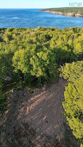 Photo 7: 2541 Broad Cove Road in Bay View: Digby County Vacant Land for sale (Annapolis Valley)  : MLS®# 202312775