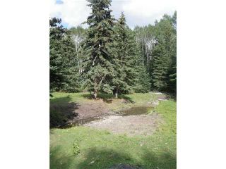 Photo 16: 2 miles west of Dartique Hall in COCHRANE: Rural Rocky View MD Rural Land for sale : MLS®# C3545361