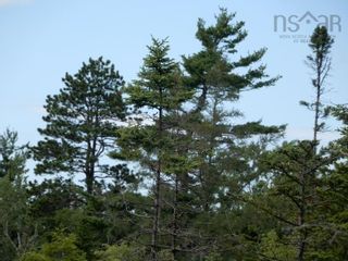 Photo 1: Battist Road in Sundridge: 108-Rural Pictou County Vacant Land for sale (Northern Region)  : MLS®# 202219334