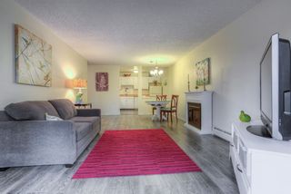 Photo 4: 201 12170 222 Street in Maple Ridge: West Central Condo for sale : MLS®# R2019001