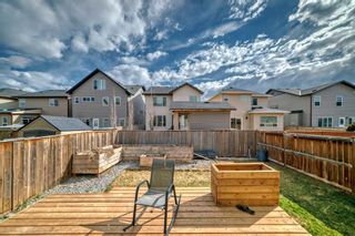 Photo 40: 50 Skyview Shores Crescent NE in Calgary: Skyview Ranch Detached for sale : MLS®# A2125037