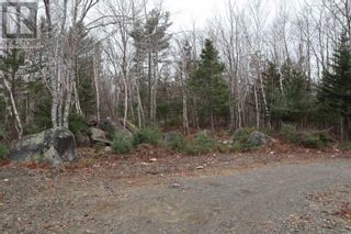 Photo 2: Lot 17 Old Port Mouton Road in White Point: Vacant Land for sale : MLS®# 202216507
