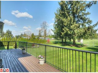 Photo 7: 2650 204 Street in Langley: Brookswood Langley House for sale in "South Langley/Fernridge" : MLS®# F1209267