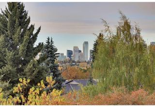 Photo 15: 4411 Coronation Drive SW in Calgary: Britannia Detached for sale : MLS®# A2005363