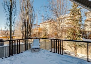 Photo 44: 14 Evansbrooke Place NW in Calgary: Evanston Detached for sale : MLS®# A1186837