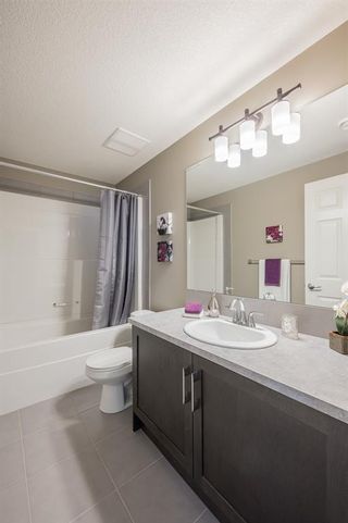 Photo 37: 25 Evansborough Hill NW in Calgary: Evanston Detached for sale : MLS®# A2014293