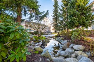 Photo 34: 405 3608 DEERCREST Drive in North Vancouver: Roche Point Condo for sale in "DEERCREST" : MLS®# R2863726