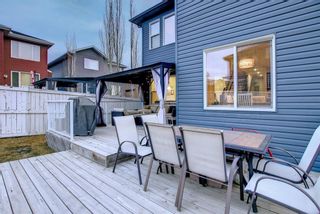 Photo 41: 381 Evanspark Circle NW in Calgary: Evanston Detached for sale : MLS®# A1176045
