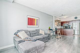 Photo 10: 1313 8710 Horton Road SW in Calgary: Haysboro Apartment for sale : MLS®# A2014731