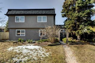 Photo 38: 436 Wilverside Way SE in Calgary: Willow Park Detached for sale : MLS®# A2125230