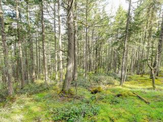 Photo 39: 706 Cains Way in Sooke: Sk East Sooke House for sale : MLS®# 910614