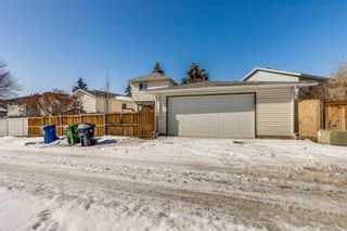 Photo 29: 137 Coventry Place NE in Calgary: Coventry Hills Detached for sale : MLS®# A2033662