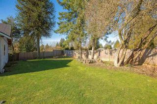 Photo 14: 11783 221 Street in Maple Ridge: West Central House for sale : MLS®# R2553448