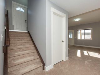 Photo 27: 2391 Baysprings Park SW: Airdrie Detached for sale : MLS®# A1216766