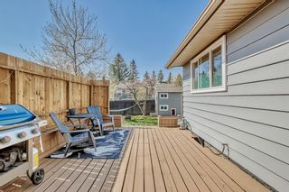 Photo 25: 655 Queen Charlotte Drive SE in Calgary: Queensland Detached for sale : MLS®# A2048810