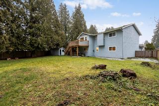 Photo 41: 21150 CUTLER Place in Maple Ridge: Southwest Maple Ridge House for sale : MLS®# R2644995