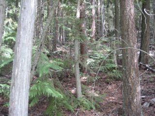 Photo 6: Lot 23 Vickers Trail in Anglemont: Land Only for sale : MLS®# 10011652