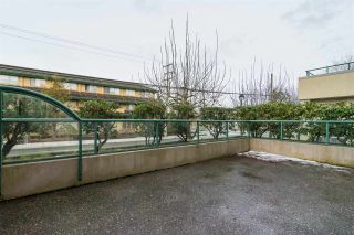 Photo 17: 115 20680 56 Avenue in Langley: Langley City Condo for sale in "CASSOLA COURT" : MLS®# R2243340