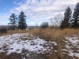 Photo 12: 16022 402 Avenue E: Rural Foothills County Land for sale : MLS®# A1051546