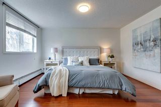 Photo 11: 105 2419 Erlton Road SW in Calgary: Erlton Apartment for sale : MLS®# A2126479
