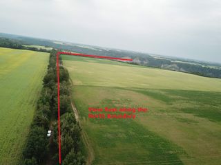 Photo 7: 27313 Twp Road 505: Rural Parkland County Rural Land/Vacant Lot for sale : MLS®# E4255712
