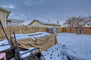 Photo 39: 52 Falton Drive NE in Calgary: Falconridge Detached for sale : MLS®# A2109079