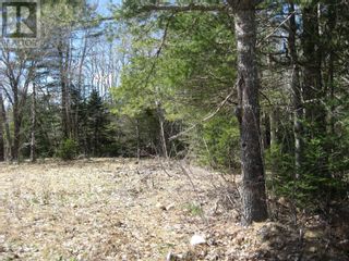 Photo 4: 483 Northfield Road in Northfield: Vacant Land for sale : MLS®# 202206879
