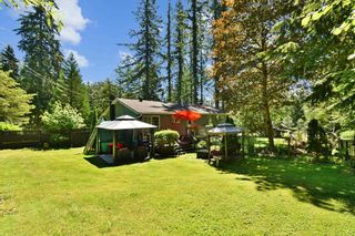 Photo 32: 11725 YEO Street in Mission: Stave Falls House for sale : MLS®# R2709123
