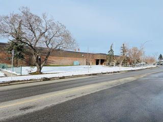 Photo 21: 6115 Penbrooke Drive SE in Calgary: Penbrooke Meadows Semi Detached (Half Duplex) for sale : MLS®# A2118225