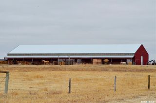 Photo 8: Diamond C Rope Horses in Mount Pleasant: Farm for sale (Mount Pleasant  Rm No. 2)  : MLS®# SK892835