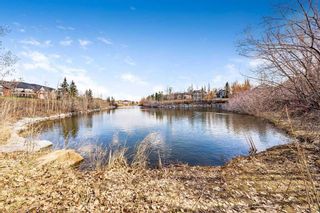 Photo 17: 245 Inverness Park SE in Calgary: McKenzie Towne Detached for sale : MLS®# A2125734