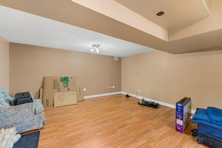 Photo 12: 119 Dovercliffe Way SE in Calgary: Dover Detached for sale : MLS®# A2116445