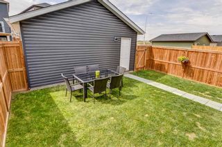 Photo 37: 604 EVANSTON Link NW in Calgary: Evanston Semi Detached for sale : MLS®# A1021283