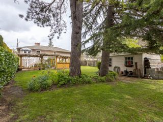Photo 6: 1177 Clarke Rd in Central Saanich: CS Brentwood Bay House for sale : MLS®# 904221