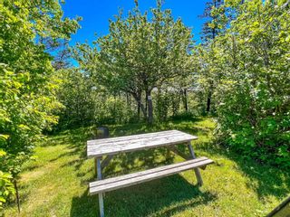 Photo 31: 50 Whale Cove Road in Digby Neck: Digby County Commercial  (Annapolis Valley)  : MLS®# 202214826