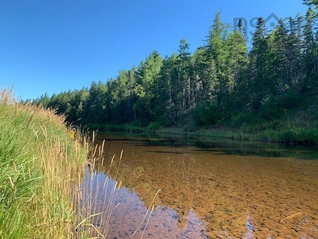 Main Photo: 3770 321 Highway in Oxford Junction: 102S-South of Hwy 104, Parrsboro Vacant Land for sale (Northern Region)  : MLS®# 202220658