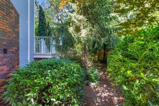 Photo 65: 1584 Rockland Ave in Victoria: Vi Rockland House for sale : MLS®# 938719