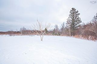 Photo 6: 48 Doty Road in Ashmore: Digby County Residential for sale (Annapolis Valley)  : MLS®# 202301085