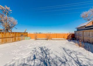 Photo 50: 156 Beddington Circle NE in Calgary: Beddington Heights Detached for sale : MLS®# A1206246