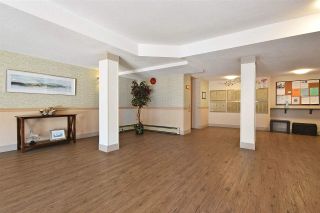 Photo 20: 126 32853 LANDEAU Place in Abbotsford: Central Abbotsford Condo for sale in "PARK PLACE" : MLS®# R2563160
