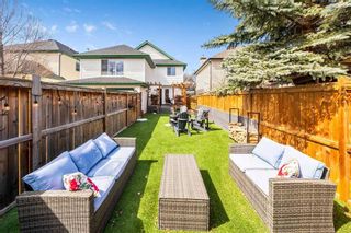 Photo 12: 245 Inverness Park SE in Calgary: McKenzie Towne Detached for sale : MLS®# A2125734