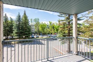 Photo 21: 202 21 Dover Point SE in Calgary: Dover Apartment for sale : MLS®# A1236669